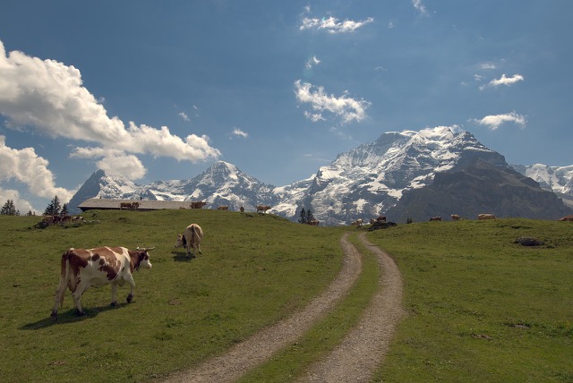 EigerMoench Jungfrau